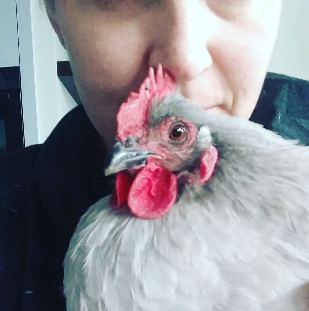 Meet your Posher, Ashley